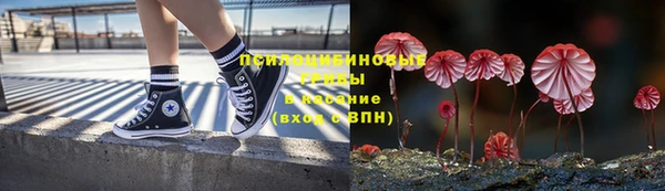 дурь Белоозёрский