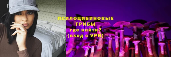 дурь Белоозёрский